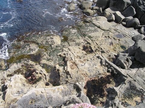 Rings & things Gigha & Skye. 127.jpg