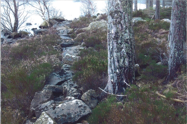 Ardverikie4.jpg
