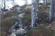 Ardverikie4.jpg