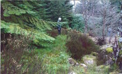 Ardverikie5.jpg