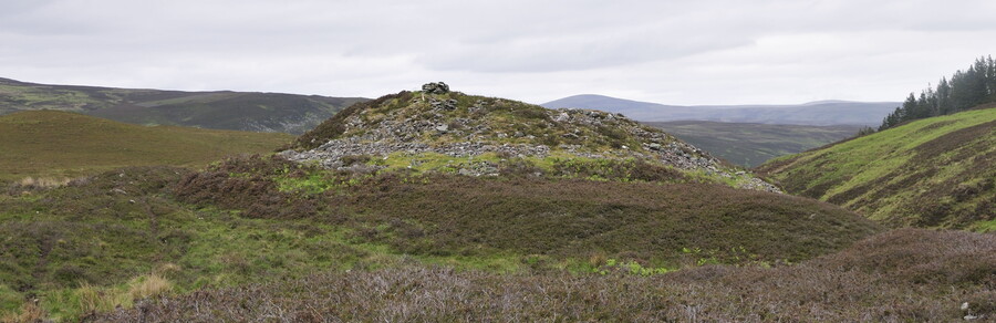 _DSC3987.jpg