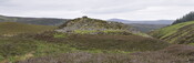 _DSC3987.jpg
