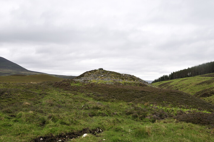 _DSC3989.jpg