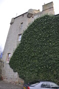 _DSC3261.jpg