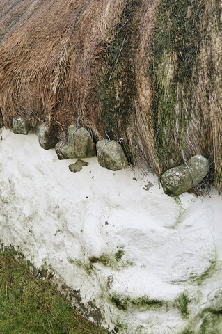_DSC3406.jpg