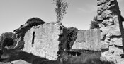 _DSC3901_3.jpg