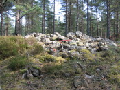 IMG_6902.JPG