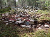 P1000298.JPG