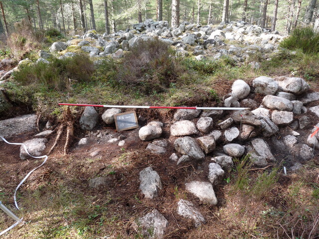 P1000303.JPG