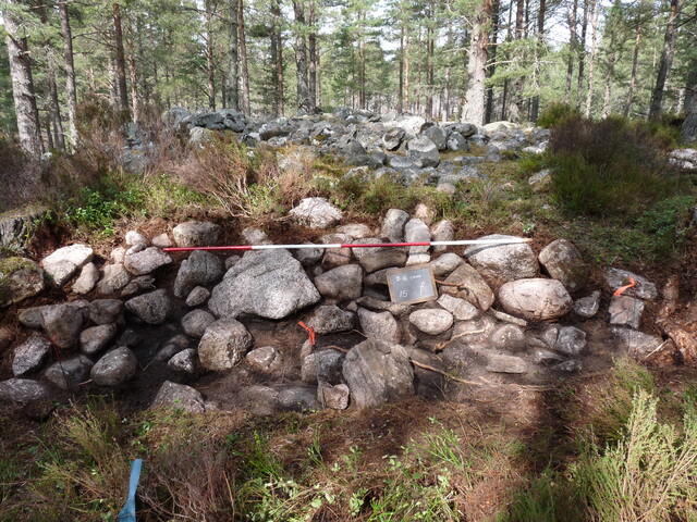 P1000305.JPG
