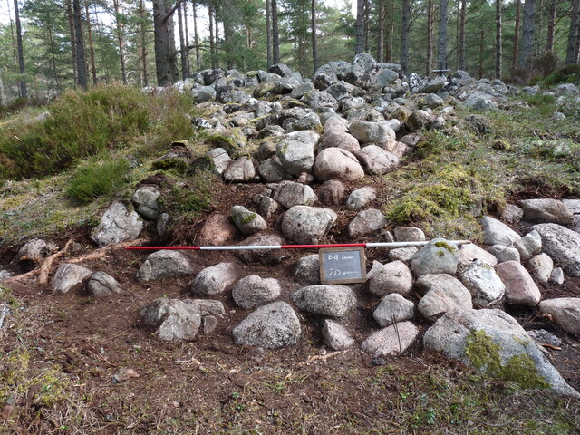 P1000310.JPG