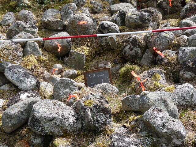 P1000313.JPG