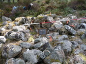P1000315.JPG