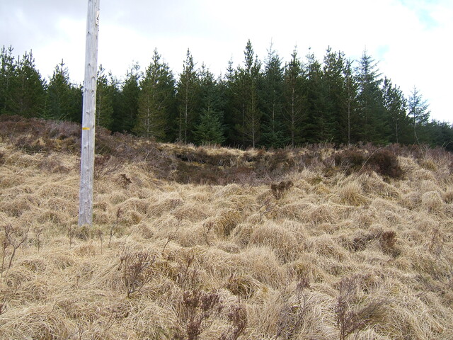Lairg 2009 004.jpg