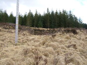 Lairg 2009 004.jpg