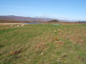 Lairg 2009 043.jpg