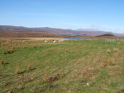 Lairg 2009 044.jpg