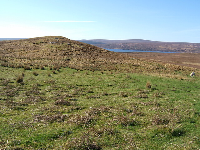 Lairg 2009 045.jpg