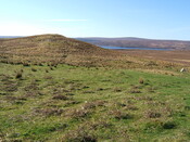 Lairg 2009 045.jpg