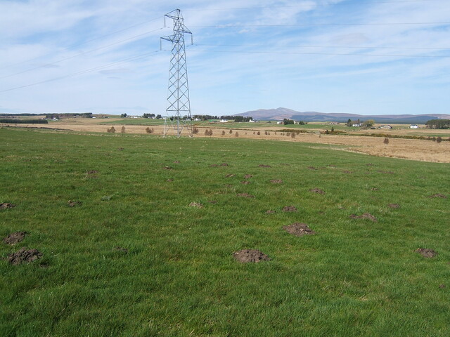 Lairg 2009 064.jpg