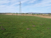 Lairg 2009 064.jpg
