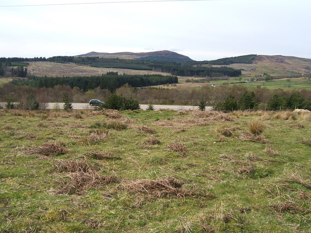 Lairg 2009 093.jpg