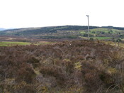 Lairg 2009 098.jpg