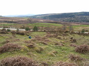 Lairg 2009 099.jpg