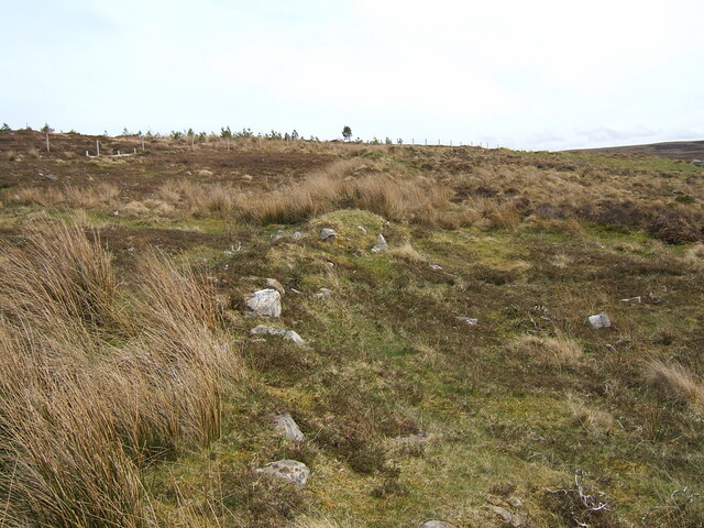 Lairg 2009 104.jpg