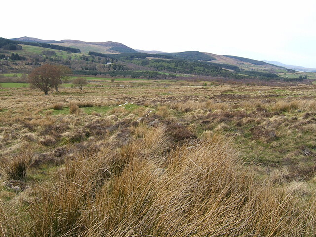 Lairg 2009 105.jpg