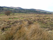 Lairg 2009 105.jpg
