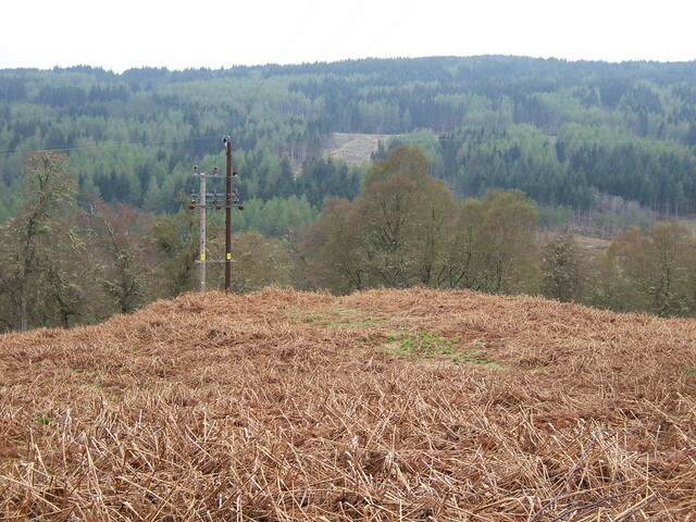 Lairg 2009 113.jpg
