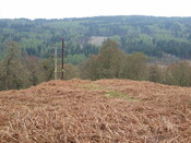 Lairg 2009 113.jpg