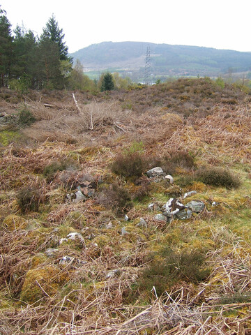Lairg 2009 122.jpg