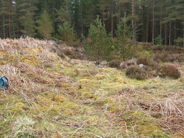 Lairg 2009 123.jpg