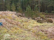Lairg 2009 123.jpg