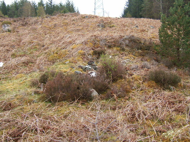 Lairg 2009 124.jpg