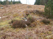 Lairg 2009 124.jpg