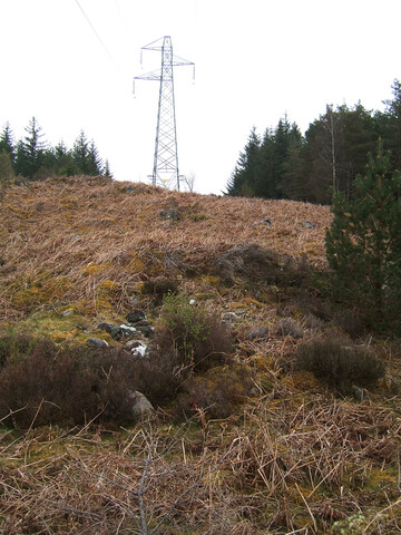 Lairg 2009 125.jpg