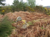 Lairg 2009 129.jpg