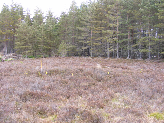 Picture 003.jpg
