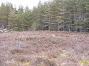 Picture 003.jpg