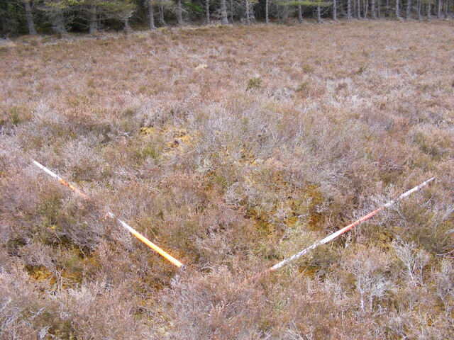 Picture 004.jpg
