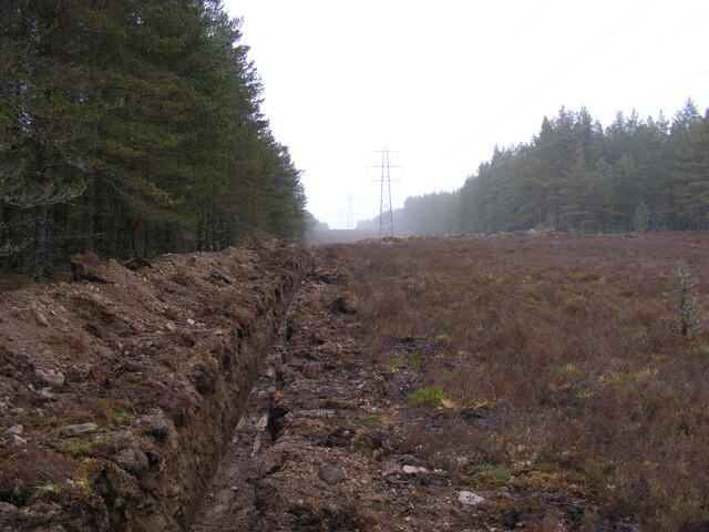 Picture 015.jpg