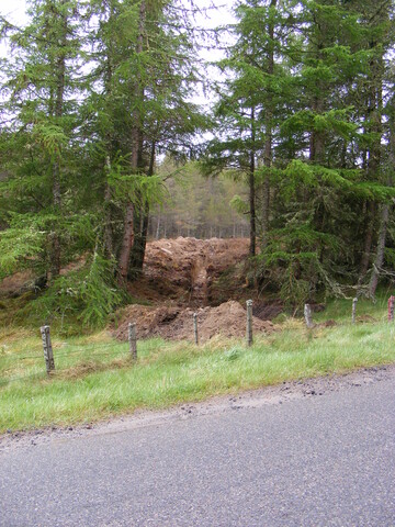 Picture 020.jpg