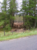Picture 020.jpg
