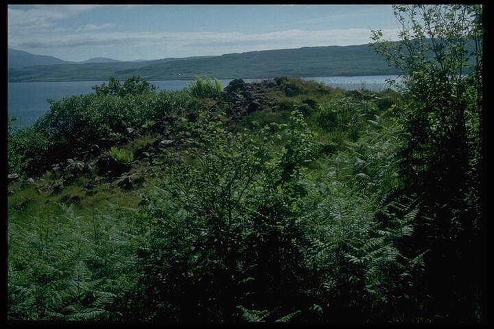 131.JPG