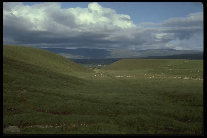 141.JPG