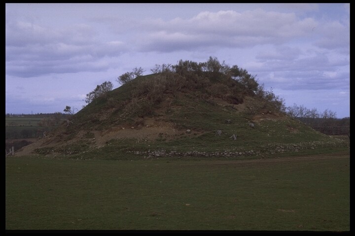 142.JPG