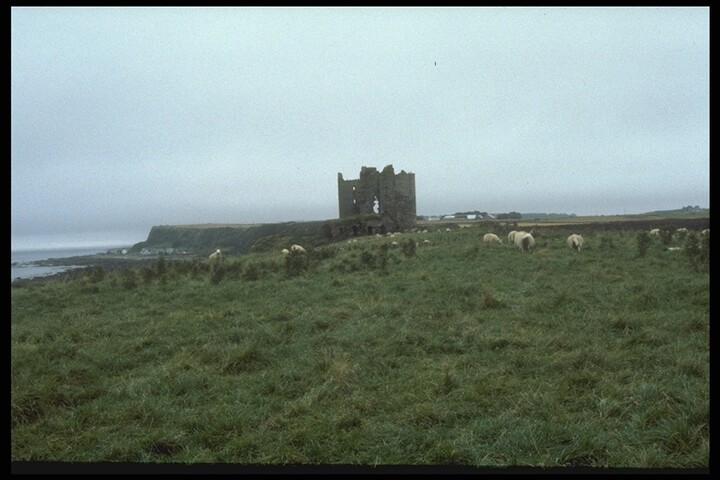 144.JPG